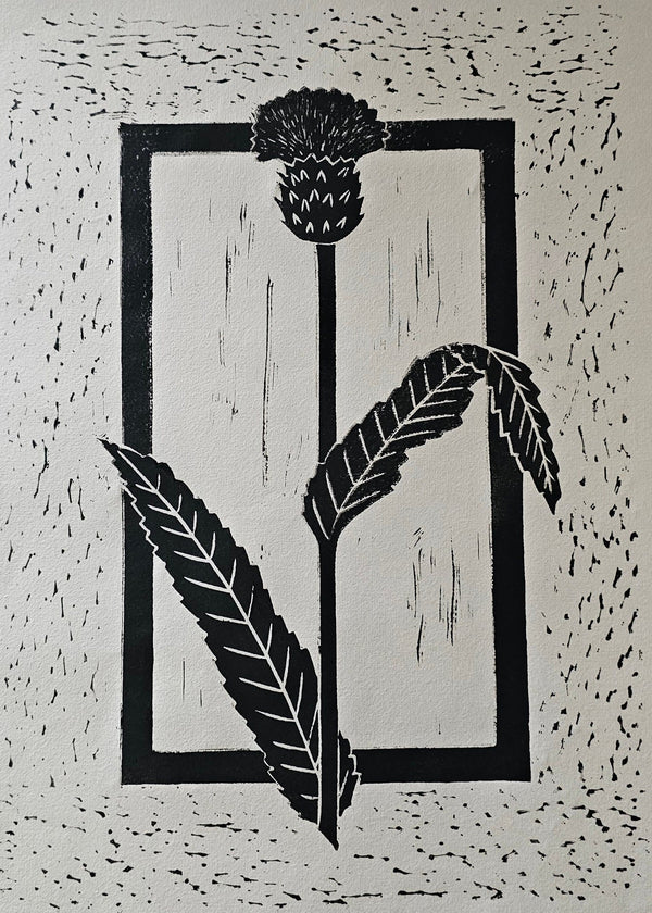 A black and white linocut print of a thistle plant, mounted on a cream-colored Japanese mulberry paper.