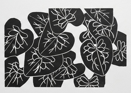 a sprawling plant of heart leaves