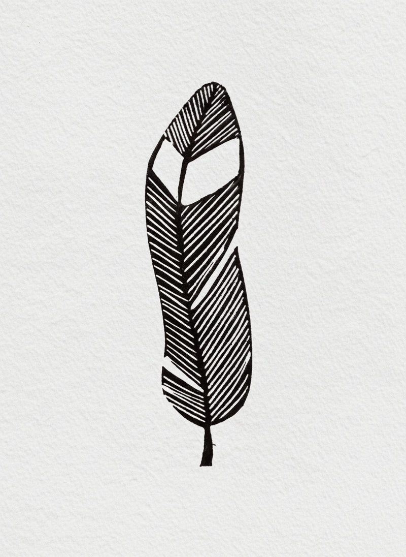 Black feather illustration on a white background