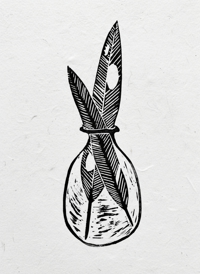 Black and white illustration of feathers in a glass bottle background