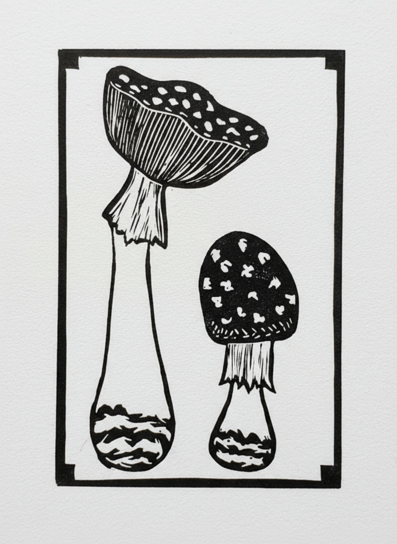 Two Flying Agaric mushroom surrounded by a squared frame linoprint