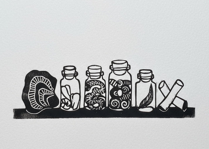 A black shelf with several small jars of specimens - teeth, snakes, shells, feather