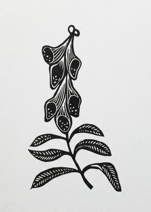 Foxglove linoprint