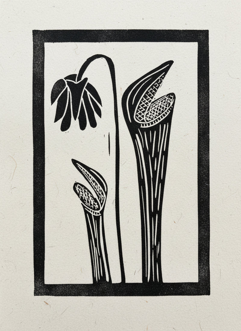 Black and white linocut print of plant forms