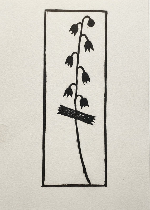 Black linoprint specimen of the poisonous Lily of the Valley