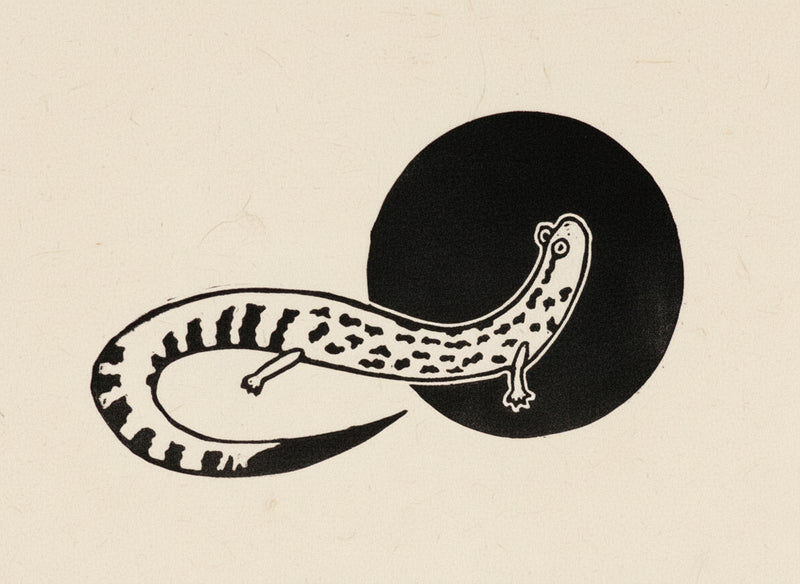 Black and white illustration of a salamander on a black circle 