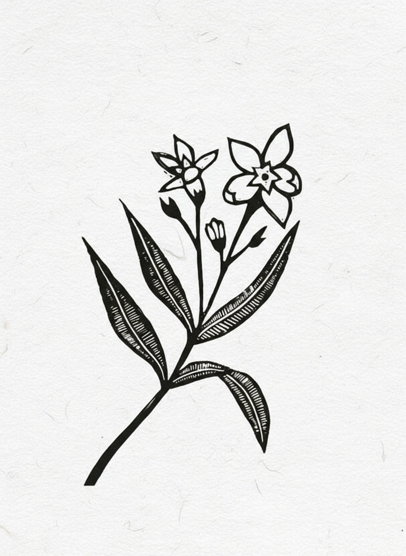 LInoprint of the poisonous oleander flower on a white  background