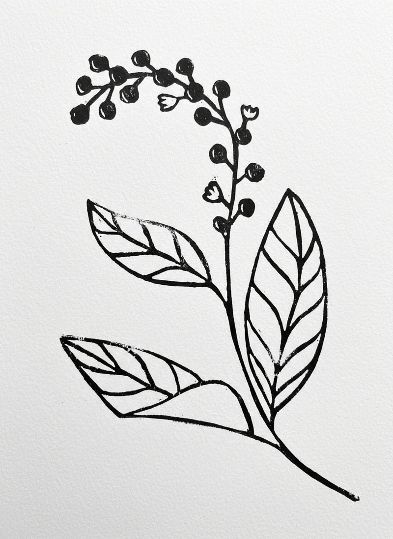 Linoprint of a polkberry branch on a white background