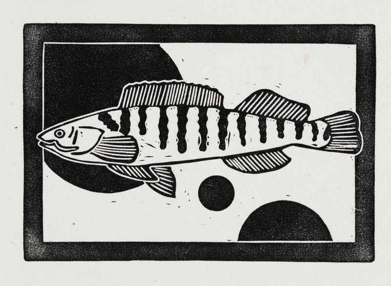 Black and white linocut of a fish with a striped pattern on a white background