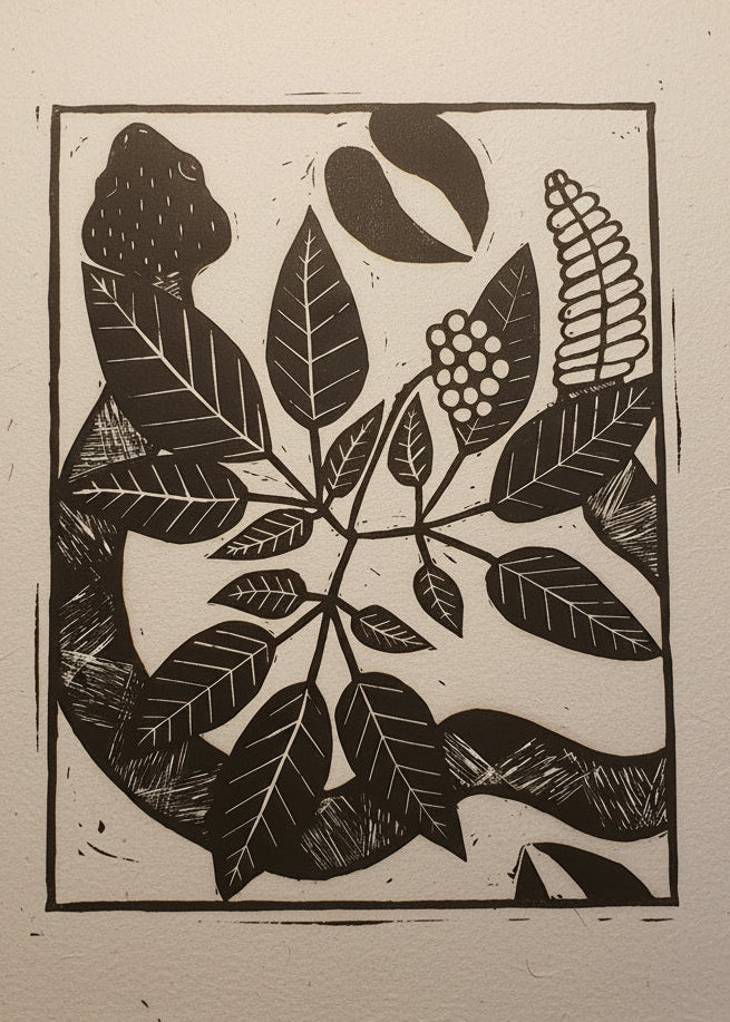 A rattlesnake beneath Ginseng among deep prints