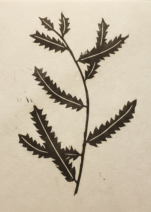 Linoprint of botanical Sweet Fern