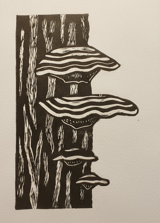 Linoprint of a Turkey Tail Mushroom along a tree trunk