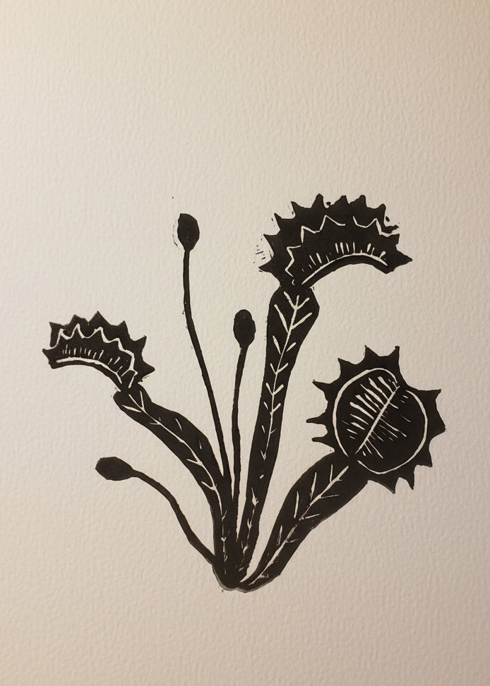 Venus Fly Trap linoprint